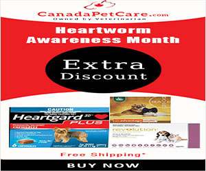 HeartWorm Awareness Month